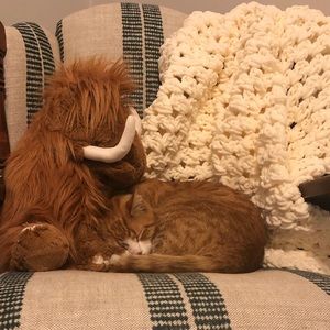 Meet your Posher, Haley